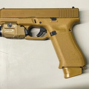 glock 19x
